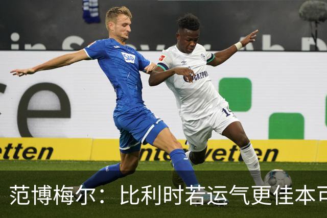 范博梅尔：比利时若运气更佳本可称霸世界杯